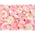 Photo Wallpaper Roses Floral pink cream Designwalls 2