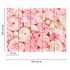 Photo Wallpaper Roses Floral pink cream Designwalls 3