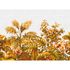 Image Photo Wallpaper Stone Wall Plants yellow-green white 1