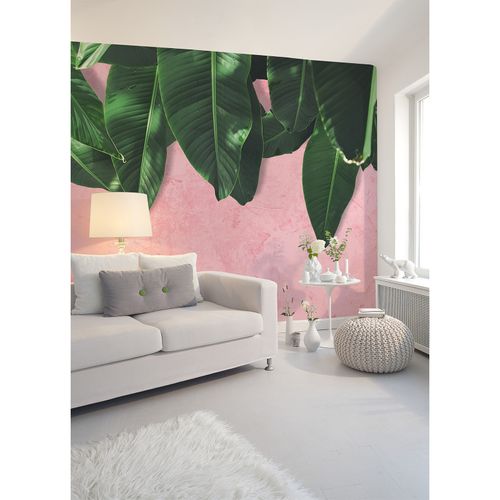 Room Image Photo Wallpaper Leaves Plaster pink green Designwalls