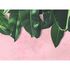 Image Photo Wallpaper Leaves Plaster pink green Designwalls 2