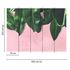 Picture Photo Wallpaper Leaves Plaster pink green Designwalls 3