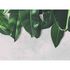 Image Photo Wallpaper Leaves Plaster pink grey Designwalls 2