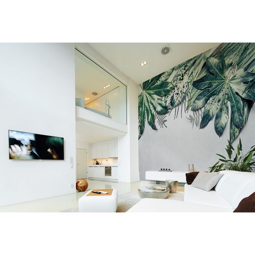 Photo Wallpaper Leaves Concrete green grey Designwalls