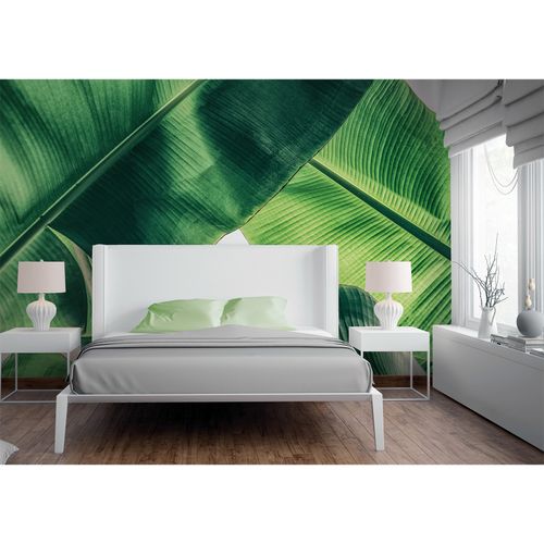 Room Image Photo Wallpaper Palms Leaves green white Designwalls
