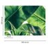 Picture Photo Wallpaper Palms Leaves green white Designwalls 3