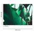 Picture Wallpaper Leaves Stem Floral green blue 2