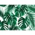 Photo Wallpaper Leaves Palms green white Designwalls 2