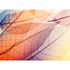 Photo Wallpaper Leaves Light Autumn orange yellow 2