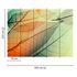 Picture Photo Wallpaper Leaves Light Autumn orange green 3
