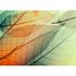 Image Photo Wallpaper Leaves Light Autumn orange green 2