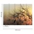 Photo Wallpaper Dandelion grey pink black Designwalls 3