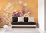 Photo Wallpaper Dandelion Blossoms Floral yellow white 1