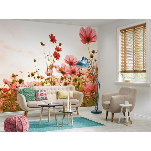 Photo Wallpaper Poppies Floral pink red green