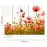 Photo Wallpaper Poppies Floral pink red green 3