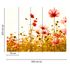 icture Photo Wallpaper Poppies Floral red green white 3