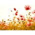 Image Photo Wallpaper Poppies Floral red green white 2