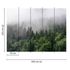 Photo Wallpaper Forest Fog Trees green grey Designwalls 3