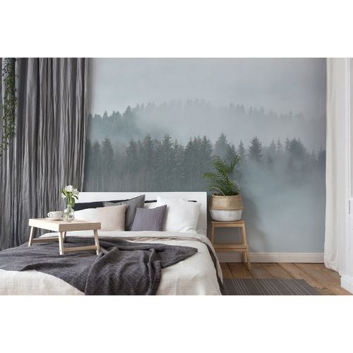 Photo Wallpaper Trees Forest Fog grey green Designwalls