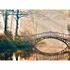 Photo Wallpaper Bridge Forest River green yellow brown 2