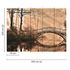 Photo Wallpaper Bridge Forest River brown green black 3