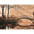 Image Photo Wallpaper Bridge Forest River brown green black 2