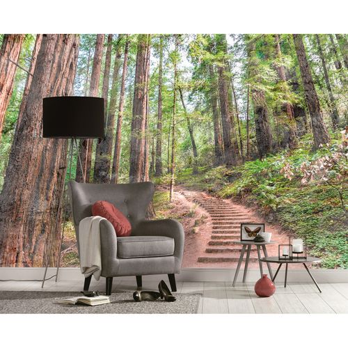 Room Image Photo Wallpaper Forest Stairs Path green brown