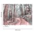 Photo Wallpaper Forest Stairs Path blue green 3