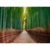 Photo Wallpaper Bamboo Path Forest green brown 2