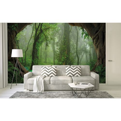 Room Image Photo Wallpaper Forest Roots Tropics green brown
