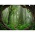 Photo Wallpaper Forest Roots Tropics green brown 2