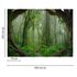 Picture Photo Wallpaper Forest Roots Tropics green brown 3