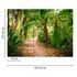 Picture Photo Wallpaper Palms Path Tropical green brown 3