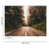 Photo Wallpaper Street Forest Trees green brown 3