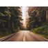 Image Photo Wallpaper Street Forest Trees green brown 2