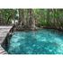 Photo Wallpaper Jungle Pier Water blue brown green 2