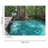 Picture Photo Wallpaper Jungle Pier Water blue brown green 3