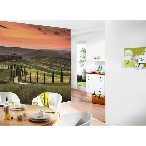 Room Image Photo Wallpaper Tuscany Landscape green orange