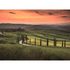 Image Photo Wallpaper Tuscany Landscape green orange 2