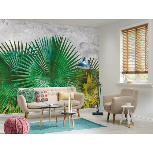 Room Image Photo Wallpaper Leaves Agaves Plaster green grey