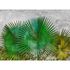 Image Photo Wallpaper Leaves Agaves Plaster green grey 2