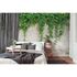 Room Image Photo Wallpaper Climbing Plants Wall Plaster green grey 2