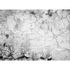 Image Photo Wallpaper Cement Cracks Wall grey Designwalls 2