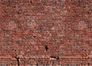 Photo Wallpaper Brick Wall red-brown Designwalls 4