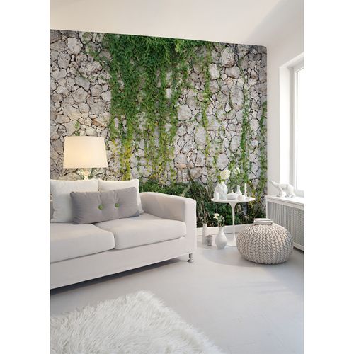 Photo Wallpaper Stone Wall Plants grey green Designwalls