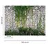 Photo Wallpaper Stone Wall Plants grey green Designwalls 3