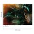 Photo Wallpaper Palms Leaves Jungle green brown 3