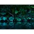 Image Photo Wallpaper Leaves Tropical Jungle dark green 2