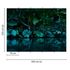Picture Photo Wallpaper Leaves Tropical Jungle dark green 3