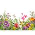 Image Photo Wallpaper Flowers Butterfly Floral green colourful 2